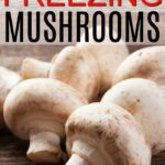 freezing mushrooms