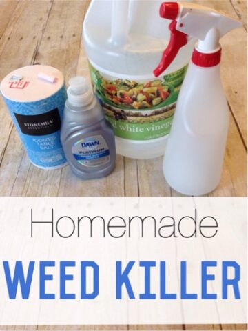 Cheap & Easy DIY Weed Killer - Frugally Blonde