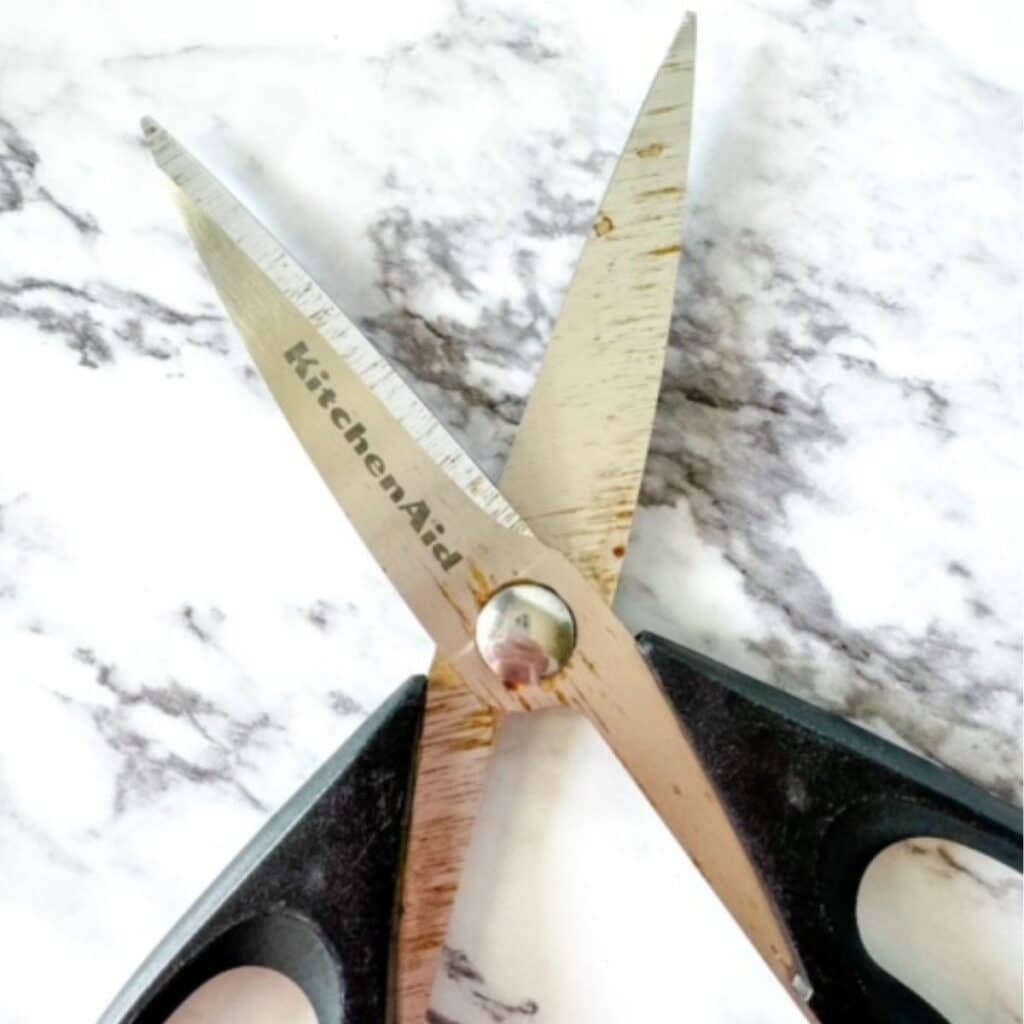 rusty scissors sitting on a countertop