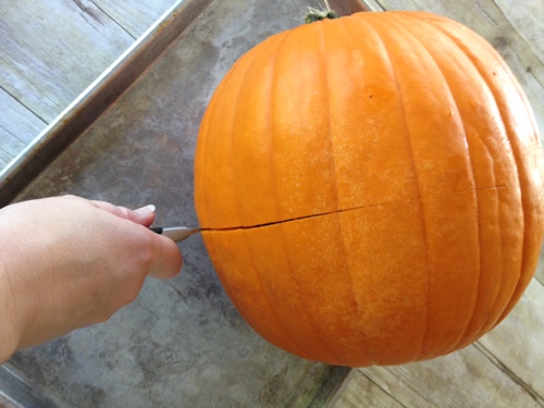 how-to-cook-a-pumpkin.jpg