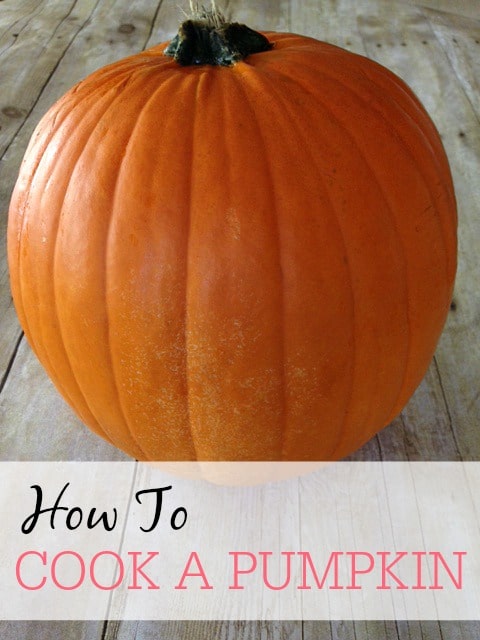 how to cook a pumpkin