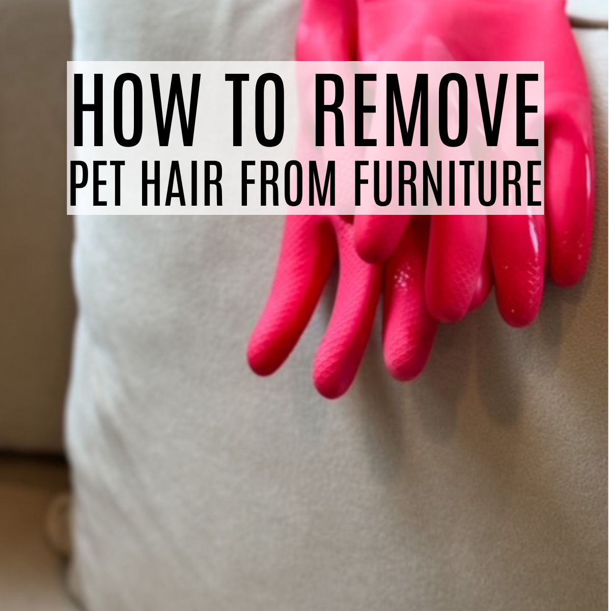 The Best Way To Get Pet Hair Off Furniture - Frugally Blonde