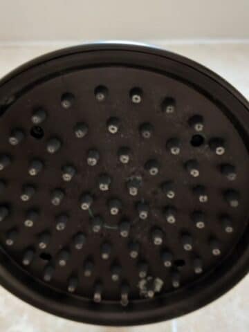shower head that needs descaled