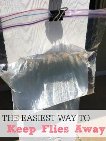 Tips on Getting Rid of Fruit Flies with Rubbing Alcohol - Frugally Blonde