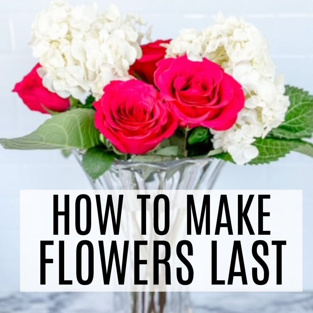 how to make flowers last