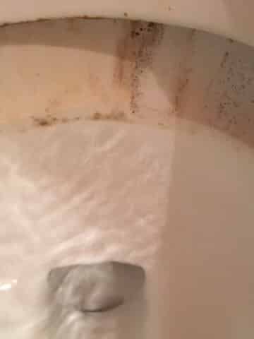 hard water stained toilet