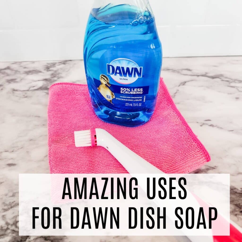 a bottle of Dawn sitting on a pink towel with a brush.