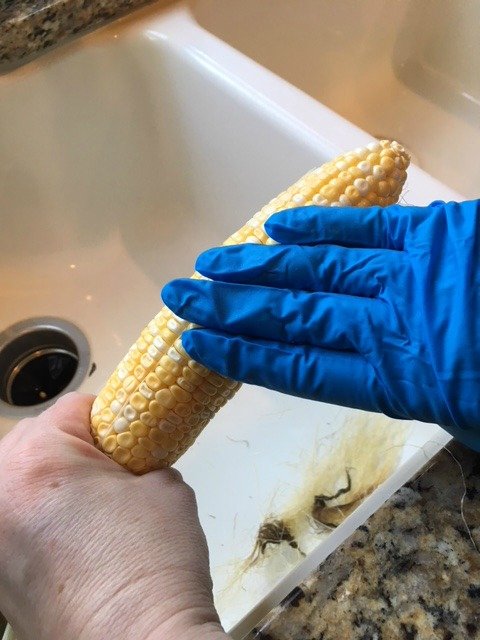 corn silk remover