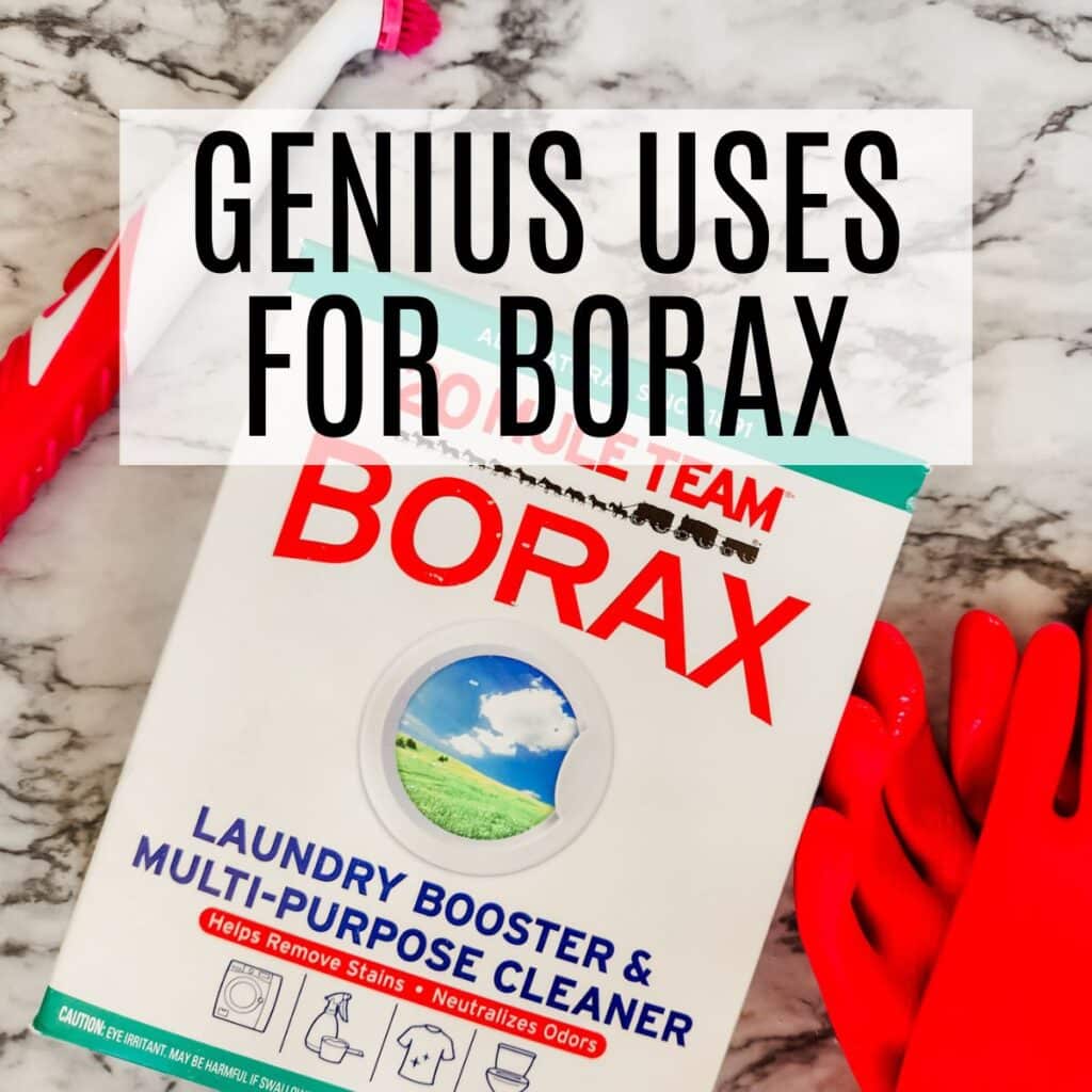 14 Genius Uses For Borax That You Didn't Know About - Frugally Blonde