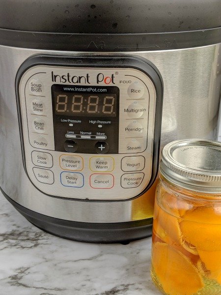 steam clean instant pot with vinegar
