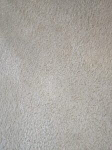 How To Remove Furniture Marks On Carpet - Frugally Blonde