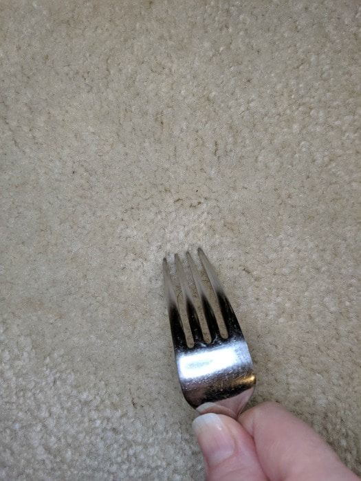 using fork to fluff carpet marks and remove them