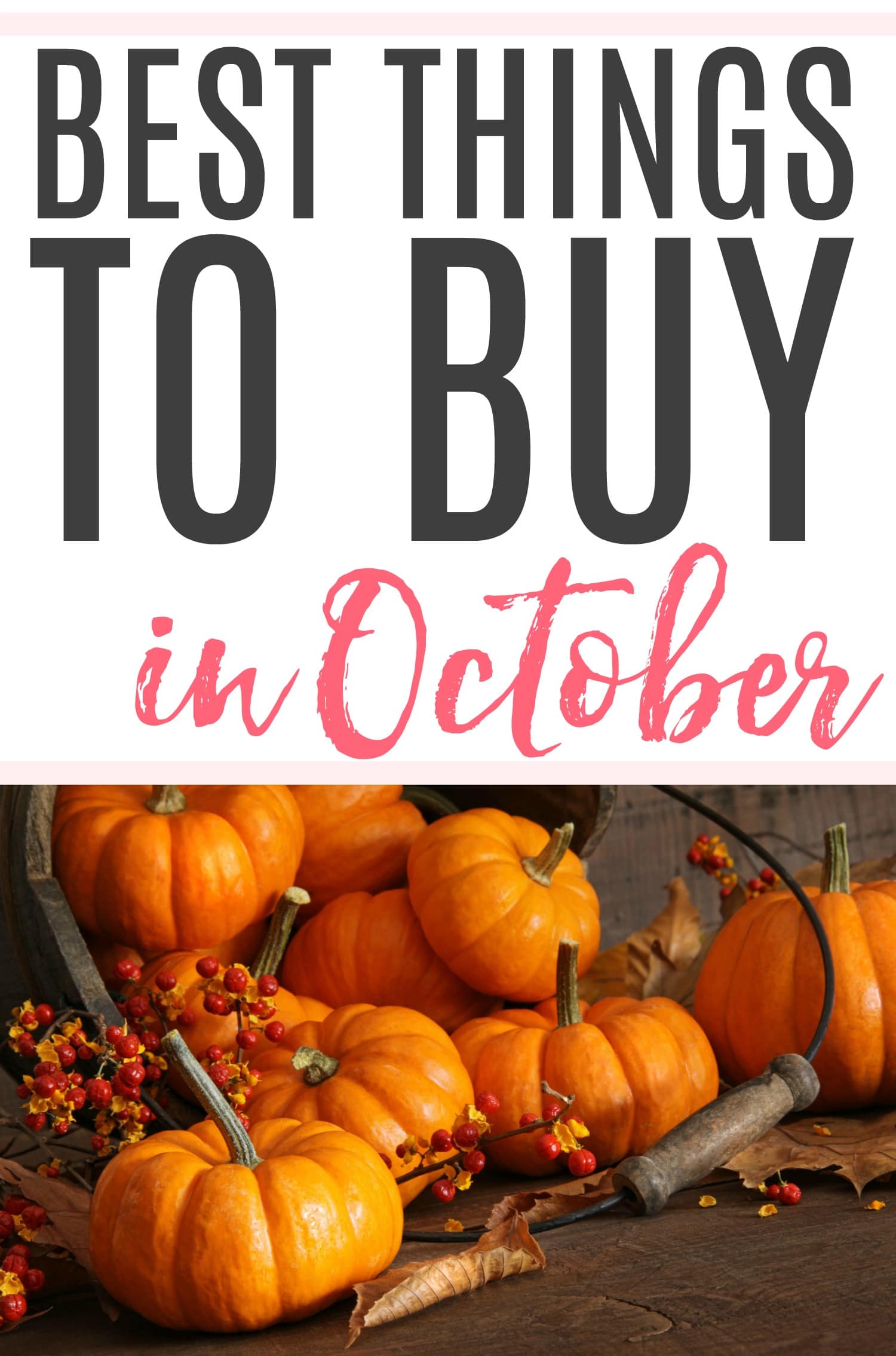 Best Things To Buy In October - Frugally Blonde