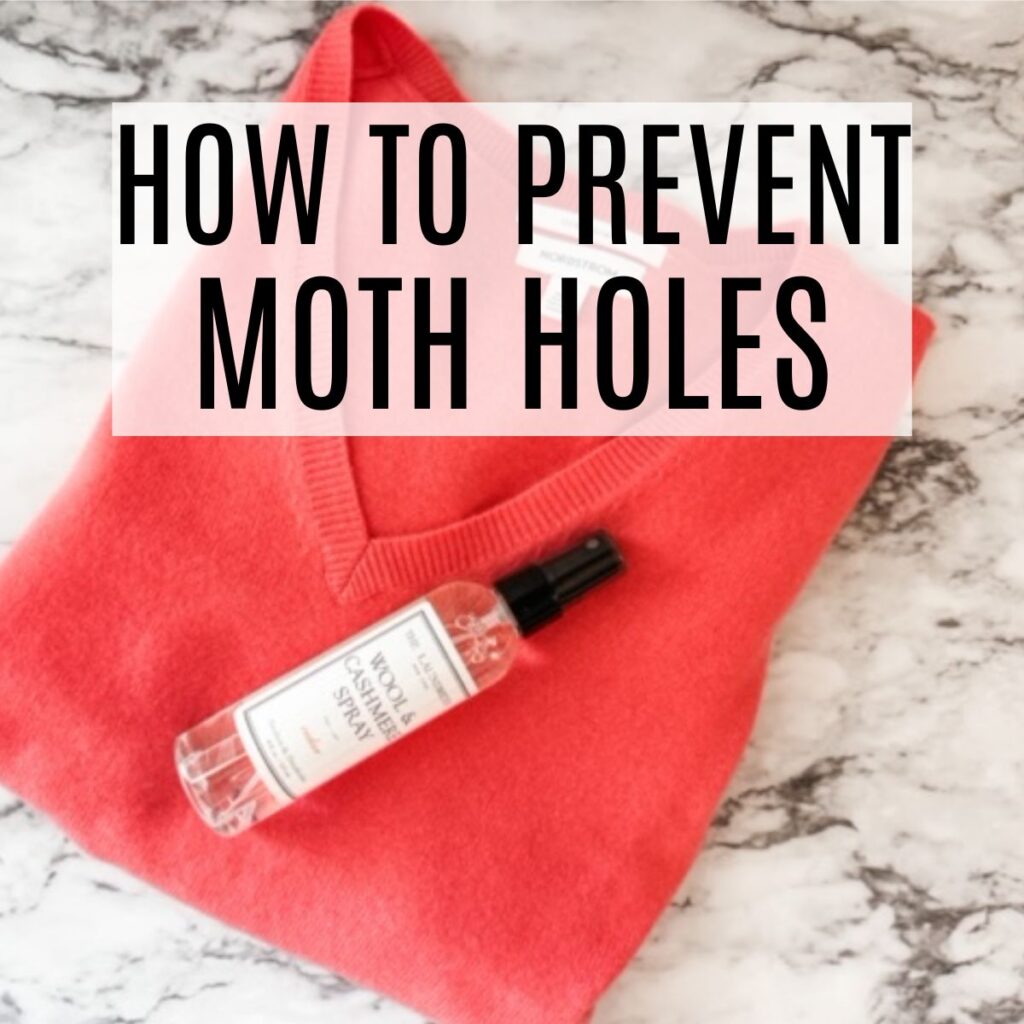 how to prevent moth holes