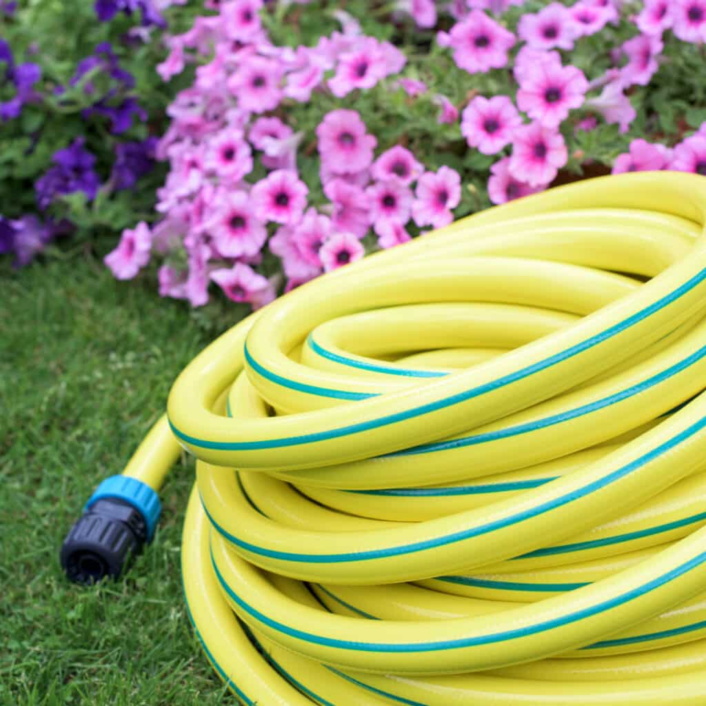 disconnect garden hose every fall