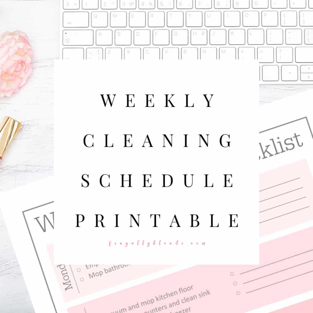 picture of a weekly cleaning schedule used to clean the house