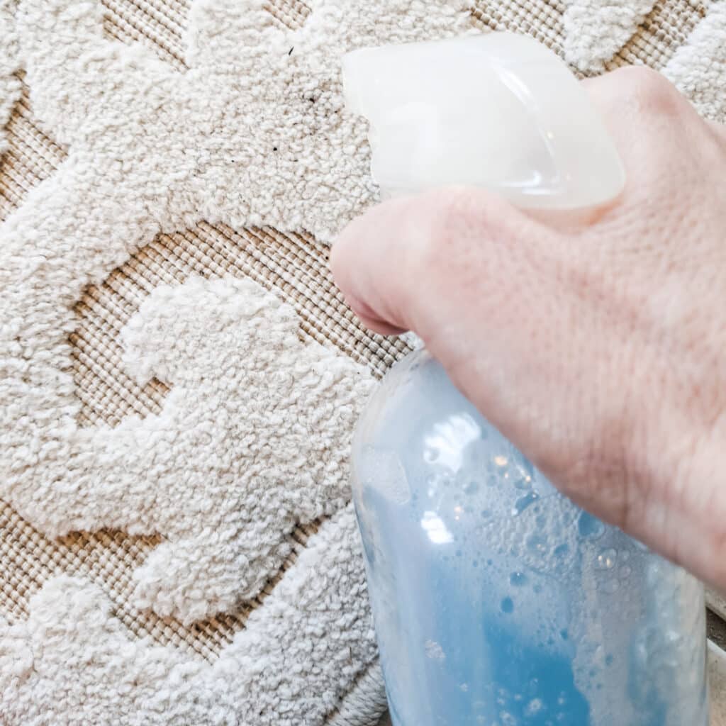 diy carpet stain remover on rugs
