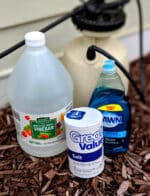 Cheap & Easy DIY Weed Killer - Frugally Blonde