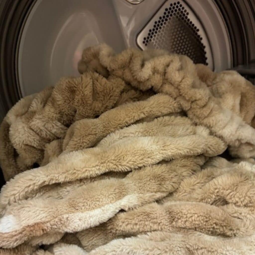 minky blanket in the dryer