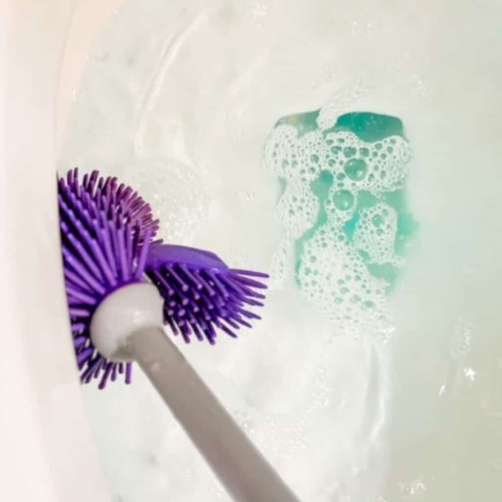 cleaning toilet with brush